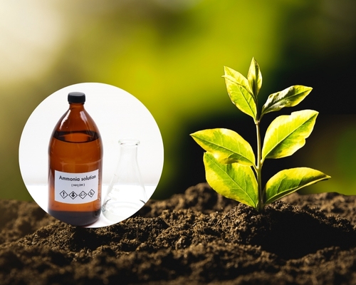 Ứng dụng trong ngành phân bón