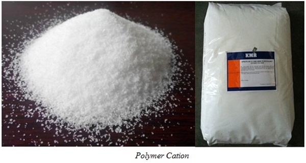 Hóa chất Polymer Cation