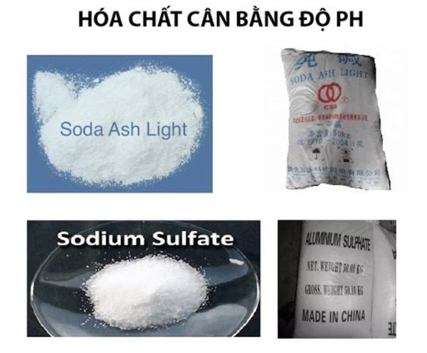 Nhóm hóa chất cân bằng pH - Mức trung tính (khoảng 6-9) rất quan trọng