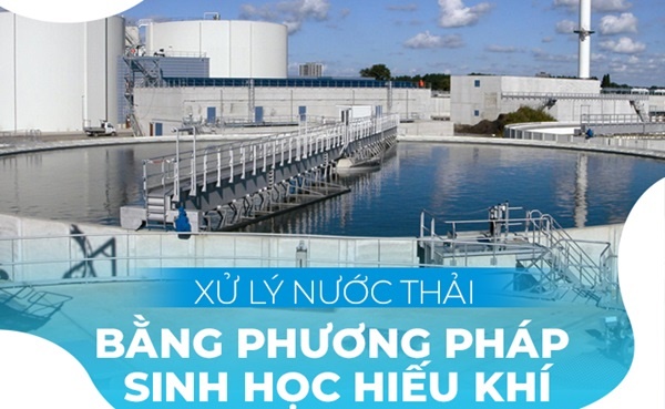 Công nghệ sinh học thiếu khí giúp xử lý nước thải hiệu quả