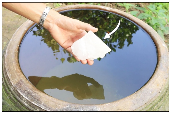 Phèn chua giúp loại bỏ các chất lơ lửng và vi khuẩn, làm nước trở nên sạch hơn