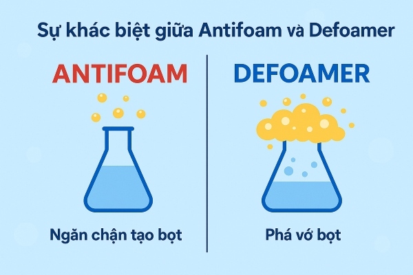 Antifoam ngăn bọt từ đầu nhưng không xử lý bọt đã có; còn Defoamer loại bỏ bọt nhanh nhưng ngắn hạn