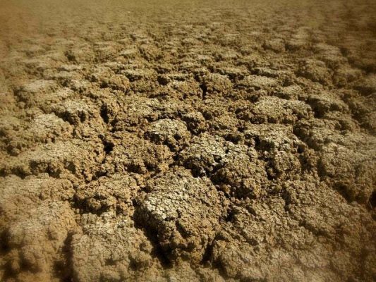 Nguyên nhân khiến đất trồng bị chua