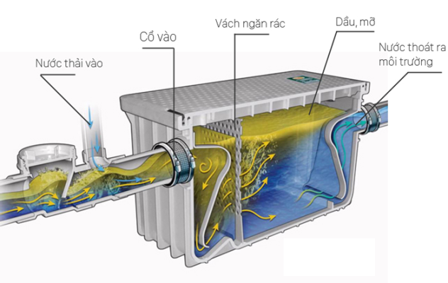 Hệ thống bẫy mỡ cơ học