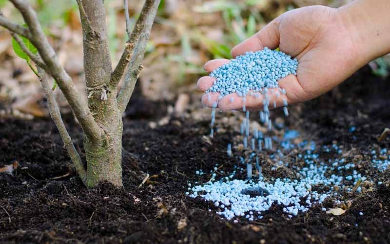Một số nguyên tắc quan trọng cần biết khi sử dụng